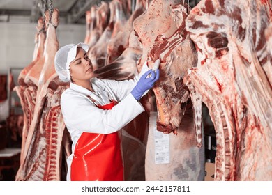 Young female worker of meat processing factory inspecting fresh raw meat hanging in cold storage room, monitoring temperature of beef carcass.. - Powered by Shutterstock