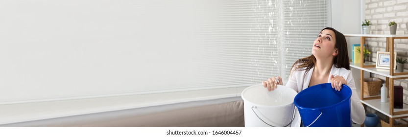 Young Female Worried Woman Holding Bucket While Water Droplets Leaking From Ceiling