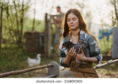 Young Female Zoologist Examines Chicken For Diseases On The Farm