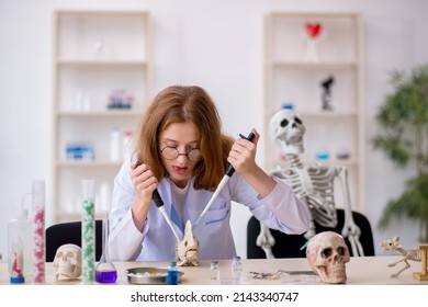 Young Female Zoologist Working At The Lab