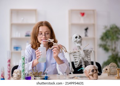 Young Female Zoologist Working At The Lab