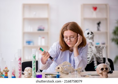 Young Female Zoologist Working At The Lab