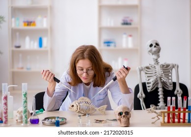 Young Female Zoologist Working At The Lab