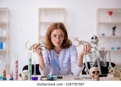 Young Female Zoologist Working At The Lab