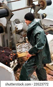 Young Fisherman, On Board A Trawler Boat And Under Rainy Weather, Carrying A Wooden Box Full Of Small Fish