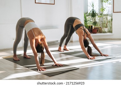 Young fit women practice yoga doing asana in a bright yoga studio. Yoga ticher doing asana sun salutation with student in yoga class - Powered by Shutterstock