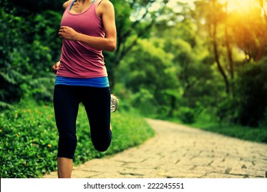 Young Fitness Woman Running At Forest Trail 