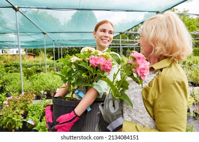 Young florist and senior gardener carry geraniums for sale in garden center - Powered by Shutterstock