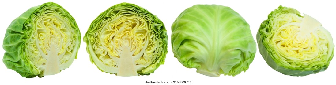young fresh cabbage on a white background. sliced ​​green vegetable on the table. salad cooking concept. illustration of diet food. green cabbage close up.