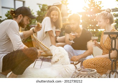 Young friends hanging out together, sitting with a dog, drinking wine and talking. People spending summer time having lunch together at backyard of country house at sunset