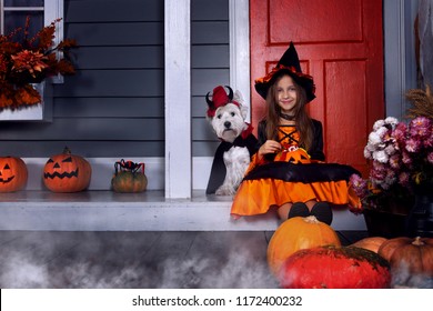 Young Funny Girl Child Kid In Halloween Orange Costume Playing Outdoor With Spooky Jack Pumpkins With Scary Faces, Fog And West Highland White Terrier Dog In Black Dracula Cloak Ready For Halloween