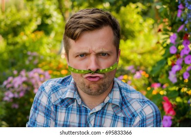 young funny man making a funny face. He holds a pod of green peas as a mustache