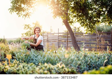 Young gardener cutting little flower plant, green sunny nature - Powered by Shutterstock