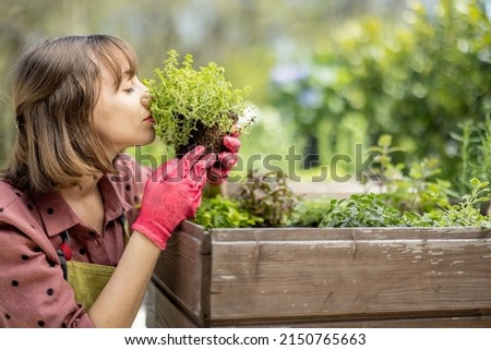 Young gardener planting spicy herbs at home vegetable garden outdoors. Concept of homegrowing organic local food