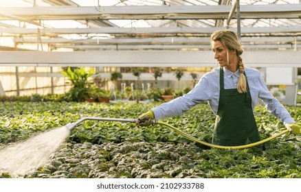 Young gardener watering plants with a shower head and hose in a nursery - Powered by Shutterstock