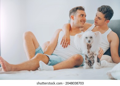 Young Gay Couple Laughing And Hugging In Their Bed. Happy Men And Their Dog Having Fun Together. Boyfriends In Love. LGBT Family. 