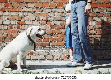 A Young Girl Afraid Of The Dog And Hides Behind Dad