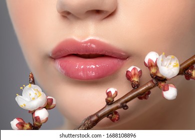 Young girl with beautiful nude make-up and plump lips. Perfect natural lips close up. Near her are beautiful blooming spring sakura flowers. Professional makeup and cosmetology skin care.
