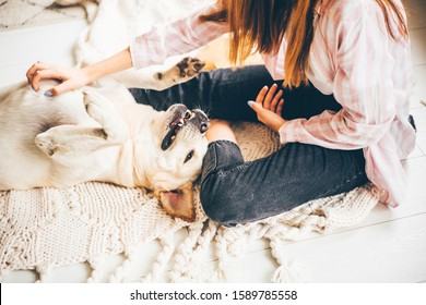 Young Girl Being Love Her Dog Stock Photo 1589785558 | Shutterstock