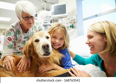 Junge Mädchen, die von behandeltem Hund im Krankenhaus besucht werden