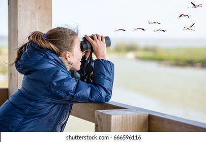 Young girl bird watching