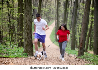 A young girl and a boy runs through the woods with their dog Beagle in the spring