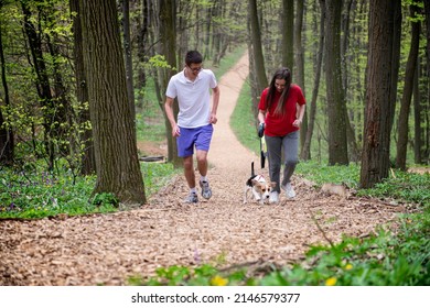 A young girl and a boy runs through the forest with their beagle dog in the spring