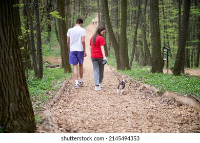 A young girl and a boy are walking through the forest with their beagle dog in the spring