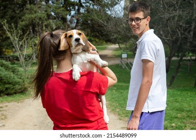 A young girl and a boy are walking through the park with their dog Beagle in the spring
