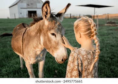 A young girl with braided hair petting a donkey in a grassy pasture, with a barn in the background, capturing a gentle and heartwarming moment on a farm. - Powered by Shutterstock