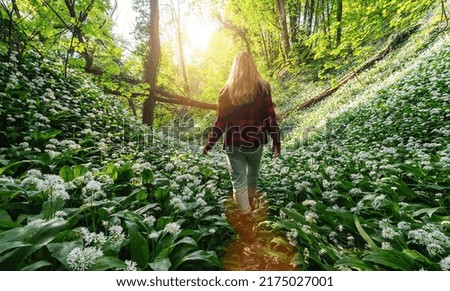 young girl in casual clothes walking on a trail or path at beautiful sunset in a wild garlic field in a fairytale forest
