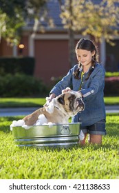 Young Girl Child Washing Her Pet Dog, A Bulldog, Outside In A Metal Tub