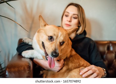 犬 抱っこ の写真素材 画像 写真 Shutterstock