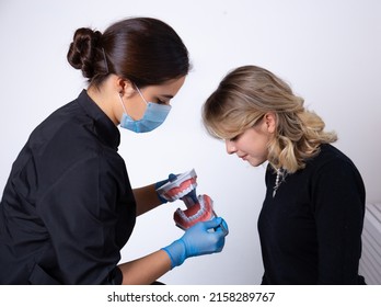Young girl Dentist in mask shows a young girl patient model of human jaws on a light background - Shutterstock ID 2158289767