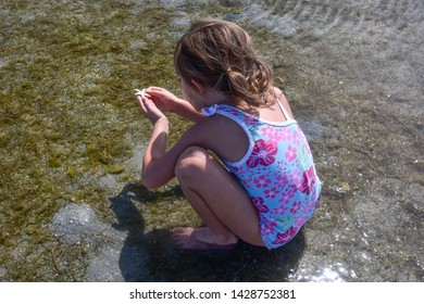 Young girl exploring tide pools at low tide and finding a tiny sea star to look at more closely - Powered by Shutterstock