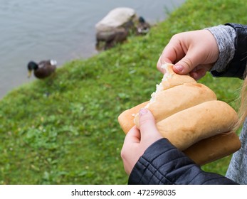 Young Girl Feeding Ducks, With White Bread, On A Green Grass Field By A Lake 