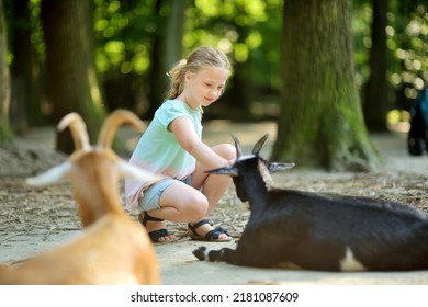 Young girl feeding goats at a zoo on summer day. Children watching livestock on a farm. Kids having fun at zoological garden.