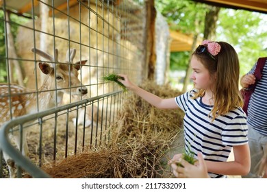 Young girl feeding wild deers at a zoo on summer day. Children watching reindeers on a farm. Kids having fun at zoological garden. - Shutterstock ID 2117332091