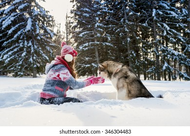 Young Girl Feeds A Dog Malamute Winter