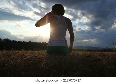 Young girl, female in barley field at sunset. Summer time.
