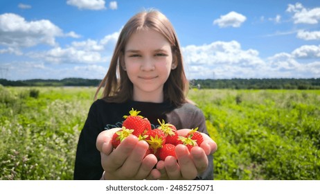 Young girl in the field on strawberry farm with strawberry in her hands, banner, fair hair teen 12 years old smiling happy girl sweet healthy meal vitamin juicy. High quality photo - Powered by Shutterstock