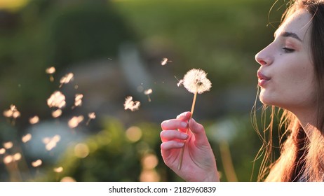 A young girl gently looks at the dandelion flower and blows it away.