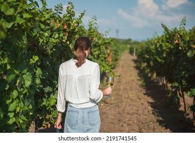 A young girl with a glass of white wine walks along the vineyard, rear view
