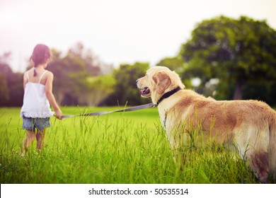 Young girl with golden retriever walking away into sun