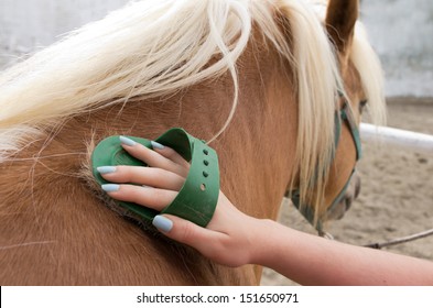 Pony Club Images Stock Photos Vectors Shutterstock