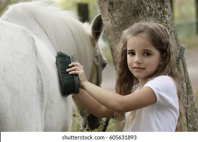 young girl grooming horse - Powered by Shutterstock