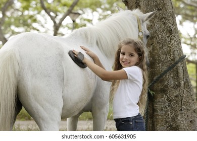 Young Girl Grooming Horse