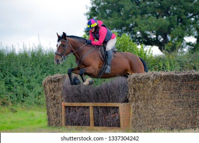 Young Girl And Her Horse Tackle A Large Brush Fence. 