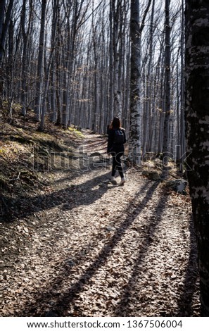 Young Girl Hiking in the forest with a stick in Bulgaria