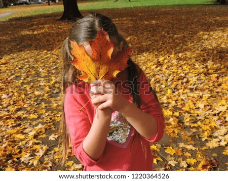 Young girl hold leaf over her face in autumn New England